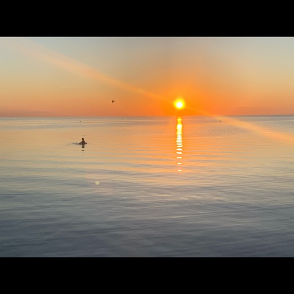 Meet your Posher, Alyssa - Picture 1 of 1